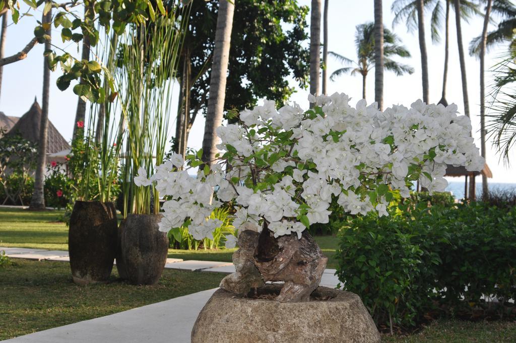 The Chandi Boutique Resort & Spa Lajor Exterior photo